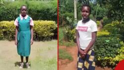 Kericho Girl Still at Home after Form One Admissions Began Gets Full Sponsorship after TUKO Story