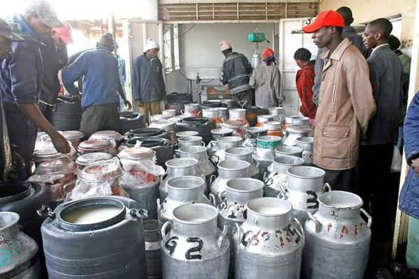 Kenya turns back 19 lorries ferrying milk from Uganda