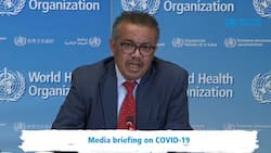 WHO boss Tedros Ghebreyesus in quarantine after contact tests positive for COVID-19