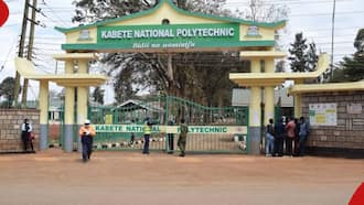 Kabete National Polytechnic Ranked Best TTI in New Timely Kenya Survey