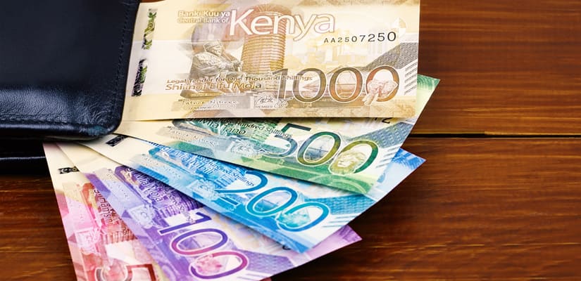 The German woman said she unknowingly carried KSh 3.9 billion lottery ticket in her purse for weeks.