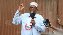 Duale Ataka Makamishna Wanne 'Waasi' wa IEBC Kutimuliwa