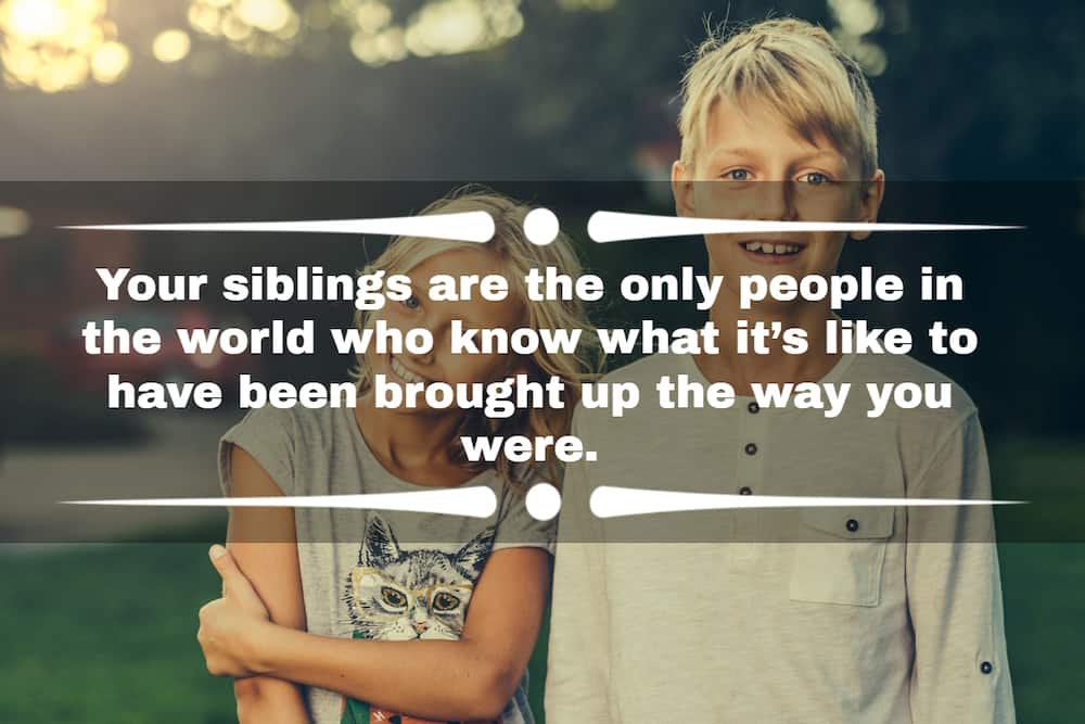 Caption for Brothers – Best Brother Quotes for Pictures  Caption for  brothers, Brother pictures, Little brother quotes