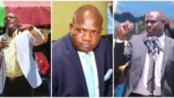 Fernandes Barasa, Boni Khalwale Head to Head in Race to Become Kakamega Governor, TUKO.co.ke Poll