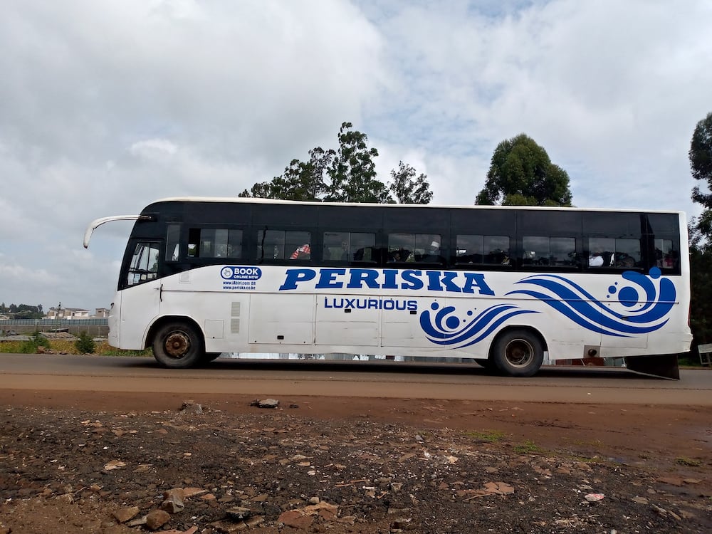 Periska Bus