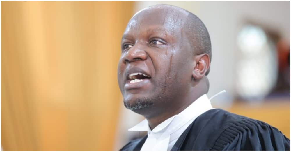 Lawyer Willis Otieno. The Judiciary.