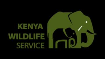 KWS park fees: What will you pay to enter parks and reserves in Kenya ...