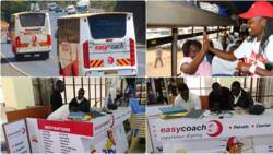 Easy Coach’s Inspiring Success Story: From 7 Buses to Over 100, Routes and Owner