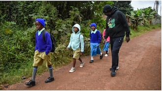 Photo of Rigathi Gachagua Walking with Unbothered School Children Elicits Mixed Reactions