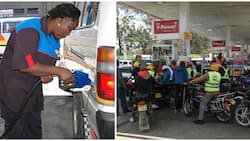 Kenyans on Ranting Spree as EPRA Hikes Fuel Prices amid Shortage: "Failed State"