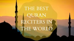 Best Quran reciters in the world every Muslim admires