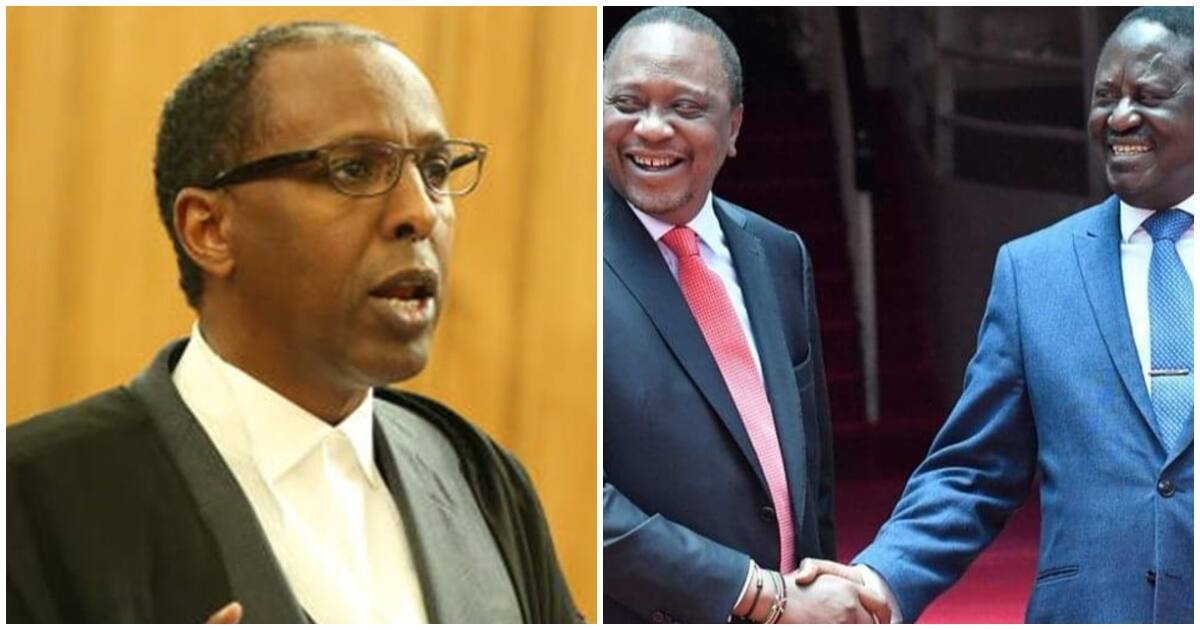 Lawyer Ahmednasir Abdullahi Says Handshake Changed Gov't Structure ...