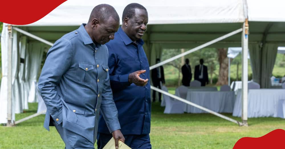 William Ruto and Raila Odinga stake a stroll.