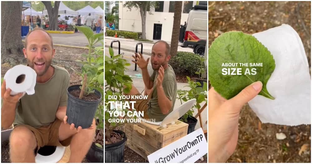 Eco-Activist Grows His Own Toilet Paper — On Toilet Paper Plants