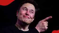 Elon Musk Says X Will Charge All Users Monthly Subscription Fee