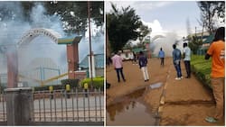 Maseno University Student Fatally Shot During Anti-Government Protests