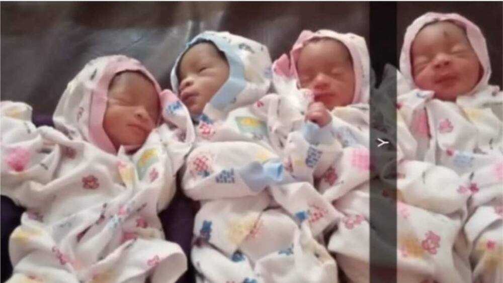 A picture showing all the four babies. Photo source: The Cable