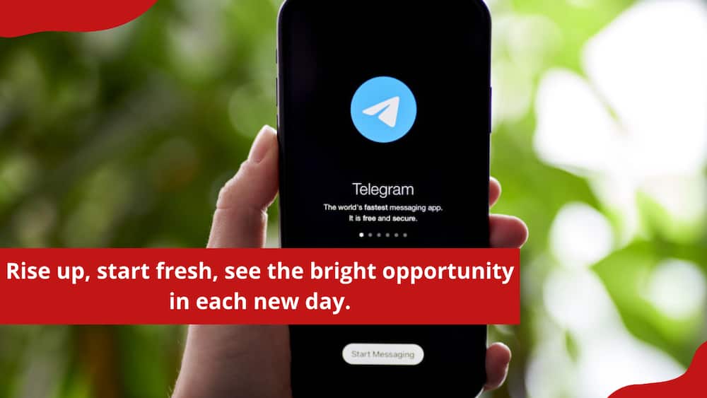 Motivational bio for Telegram