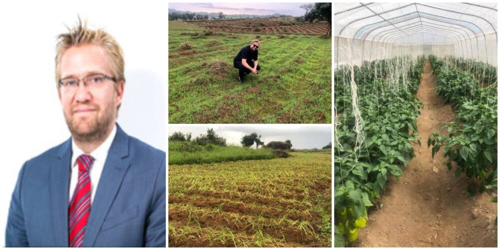 Oyinbo man causes stir as he announces becoming a farmer in Nigeria, shares photos of his farmlands