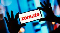 How to cancel an order on Zomato or return items for a refund