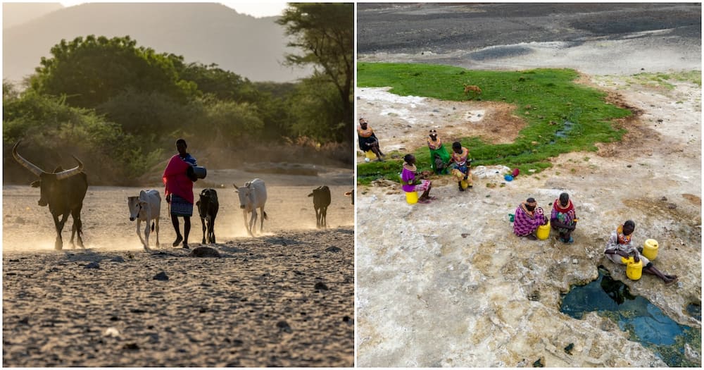 Climate change in Kenya