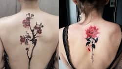 Unique spine tattoos for women: 20 inspiring designs to choose from