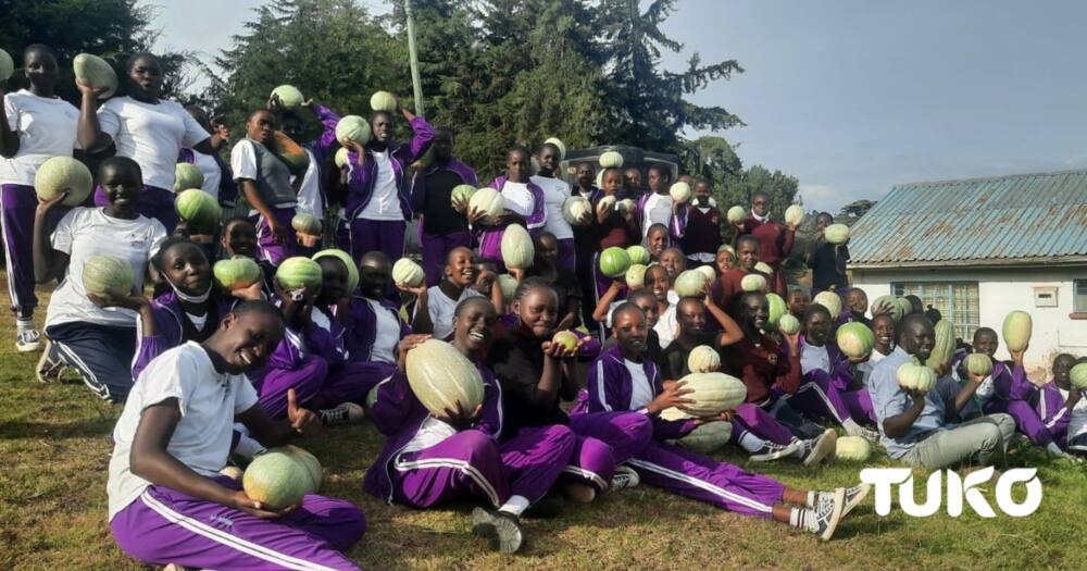 Harvest Time: High School Students Celebrate 4K Club Fruits with Bumper Pumpkin Yield