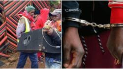 Tharaka Nithi: Stolen Church Instruments Found in Bar, Police Officer Arrested