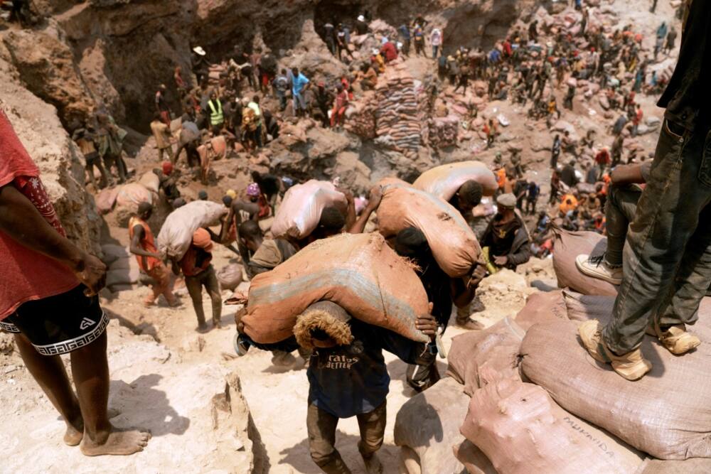 Cobalt frenzy: Thousands of artisanal miners are beavering away at a mine in Shabara, southeastern DR Congo, in defiance of the law and the owner of the site