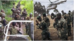 Explainer: Genesis of DRC War, What Rebels Want and Why Kenya Has Interest