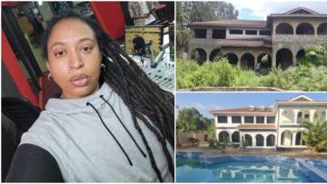 Nazizi Shows Off Exquisite Mansion She's Been Renovating from Dilapidated State: Before and After