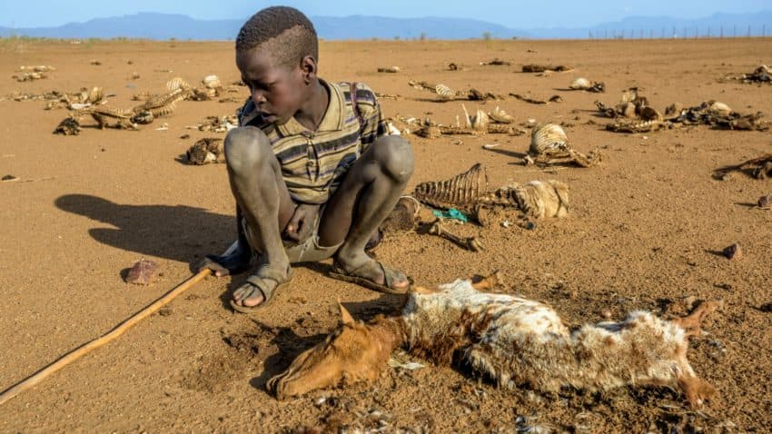 drought-watch-kenya-thousands-battling-hunger-pangs-as-dry-spell