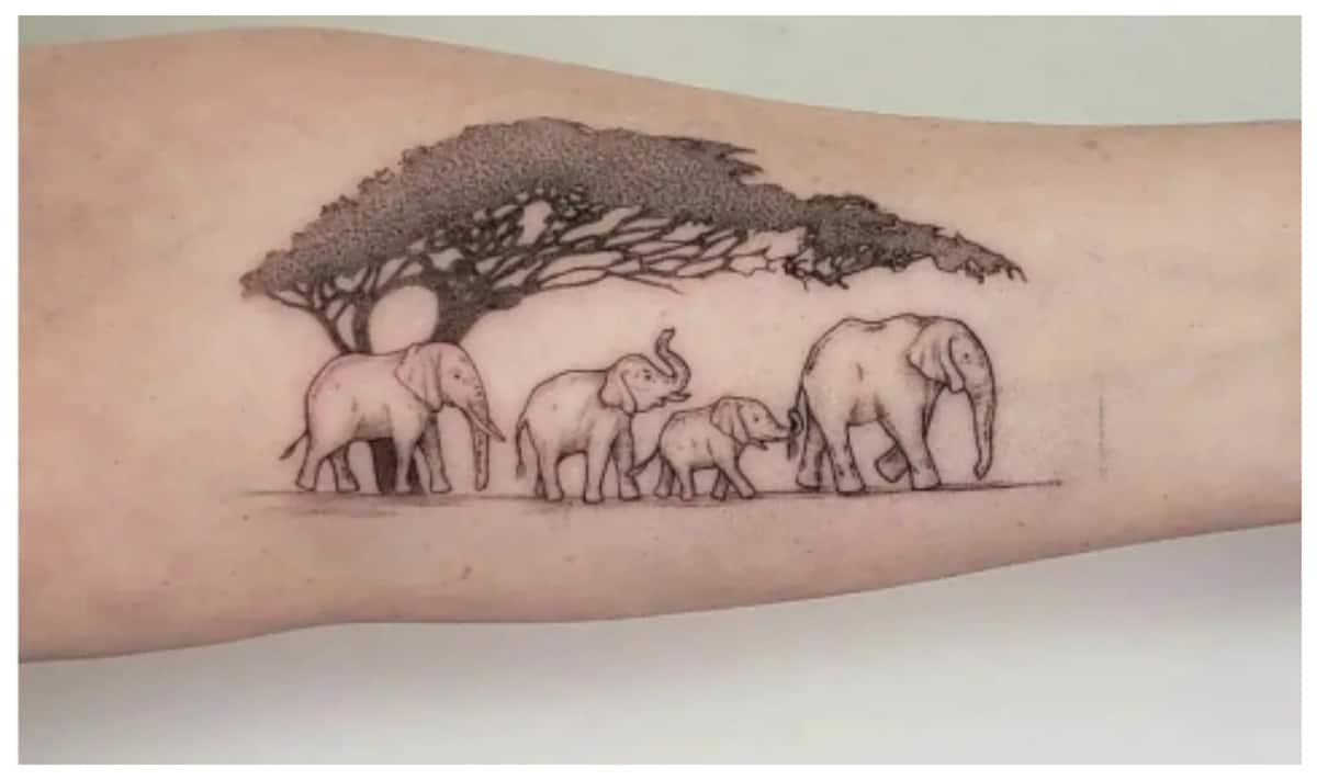 Elephant and Tree by Julian Hernandez: TattooNOW