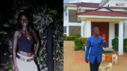 Akothee's Rise from Househelp to Businesswoman and Musician Worth Over KSh 1b