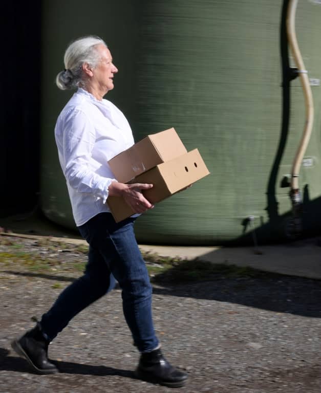 Stacey Hedges, owner and founder of the Hampshire Cheese Company, carries boxes of freshly made Tunworth to a waiting delivery van
