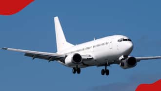 Mombasa: Panic as Plane with 266 Passengers Makes Emergency Landing at Moi International Airport