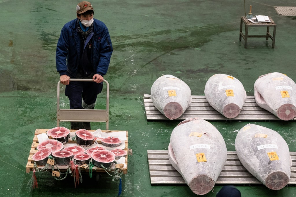 Japan tuna price soars past 270,000 at New Year auction Tuko.co.ke