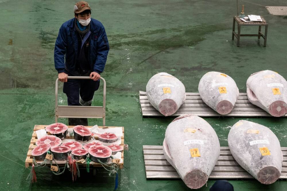 The top-selling tuna at Tokyo's new year auction often sells for eye-popping sums