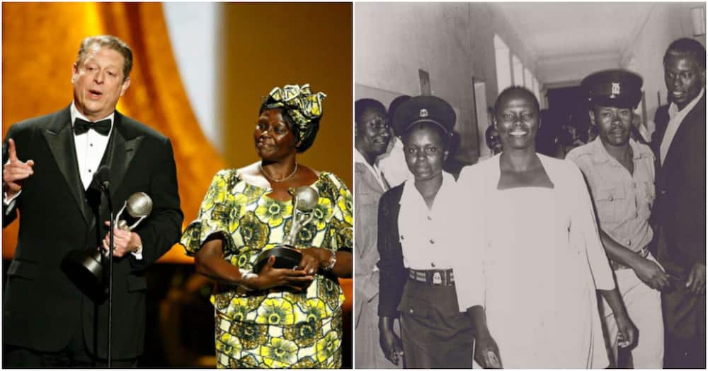Remembering Wangari Maathai, the First African woman to win a Nobel Peace Prize.