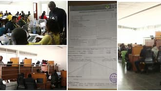Photos: Sneak Peek of UDA's Tallying Centre Where Ruto's Team Is Counting Votes