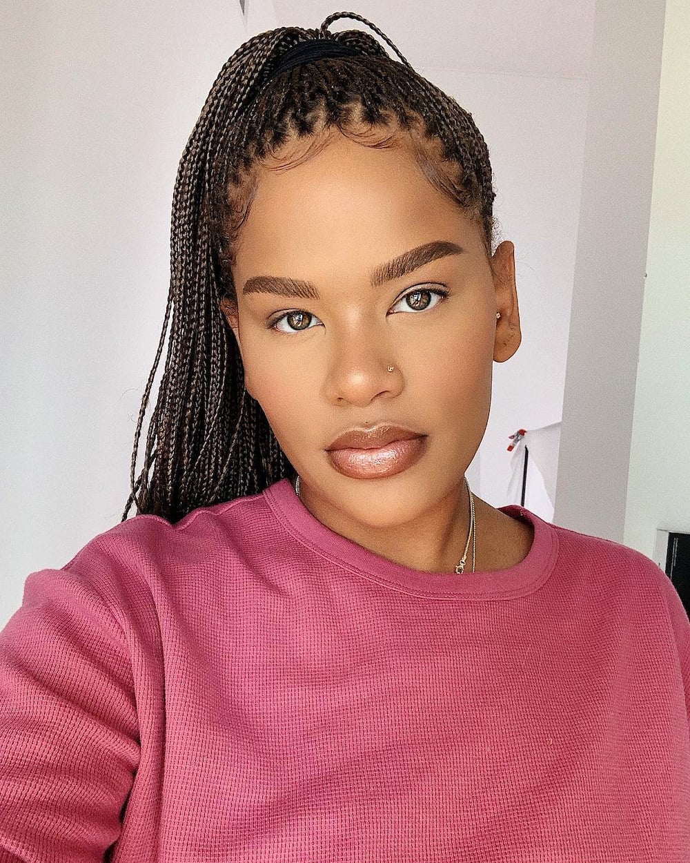 20 Badass Box Braids Hairstyles That You Can Wear Year-Round