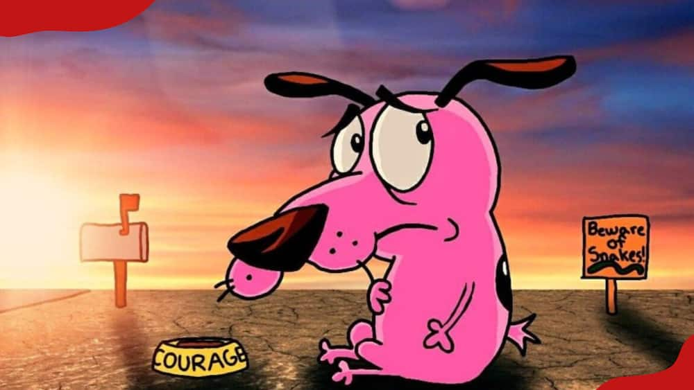 courage the cowardly dog background