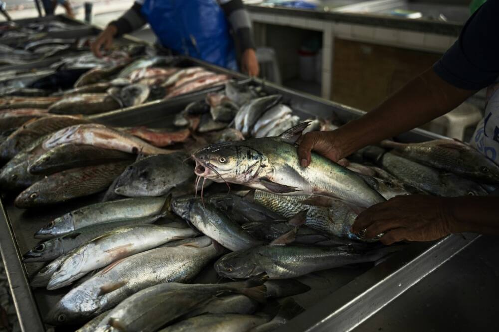 Though less and less young people are interested in fishing, demand for fresh seafood remains high among Brazil's best restaurants, many of which line the Copacabana beach