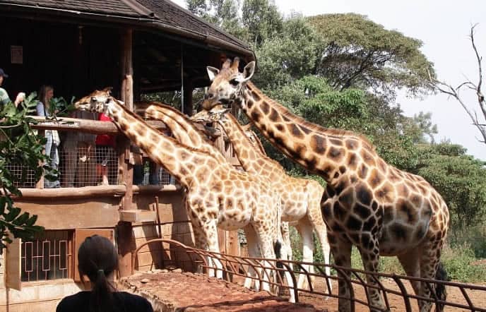 Best places to visit in Nairobi for couples
