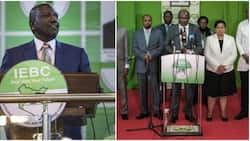 William Ruto Appoints 7- Member IEBC Selection Panel Despite Protests from Azimio