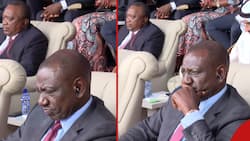 Uhuru Kenyatta Sits Meters Away from William Ruto in DRC, Video Ellicits Reactions