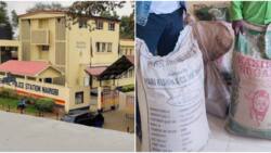Nairobi: Police Nab 2 Suspects Linked to Distribution of Poisonous Sugar