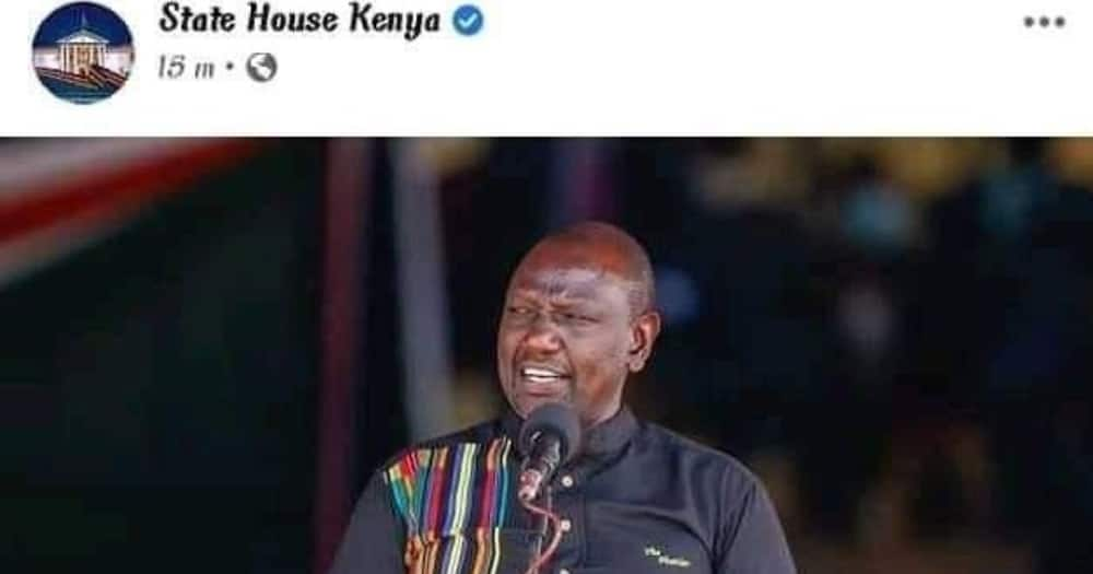 "Tumewaona" Wakenya Washambulia Ikulu kwa Kufuta Picha ya DP Ruto