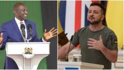 Volodymyr Zelenskyy's Message to Kenya: Ukrainian President Congratulates William Ruto for Poll Victory