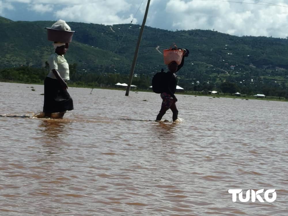Homabay: 126 households displaced by floods